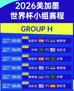 世界杯足球赛精彩瞬间 让球赔率分析